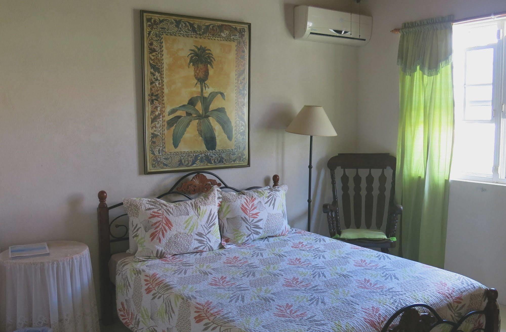 Gemini House Bed & Breakfast Christ Church Eksteriør bilde